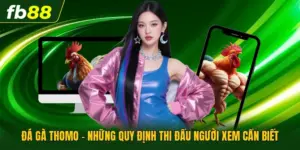 Đá Gà Thomo - Những Quy Định Thi Đấu Người Xem Cần Biết